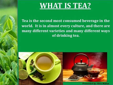 茶学系统培训班