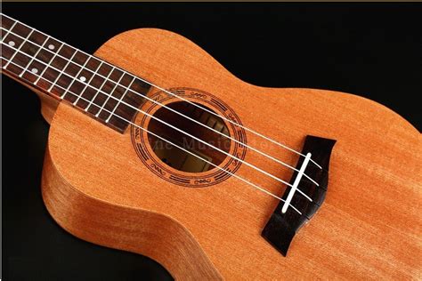 尤克里里(Ukulele)夏威夷小吉他培訓(xùn)