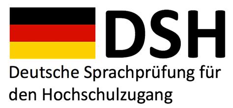 DSH考試