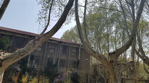 交大托福/雅思春季強化班