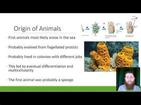 高二生物辅导