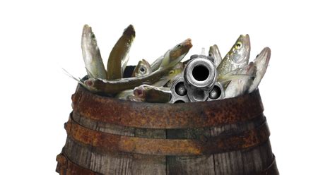 木桶魚(yú)實(shí)訓(xùn)
