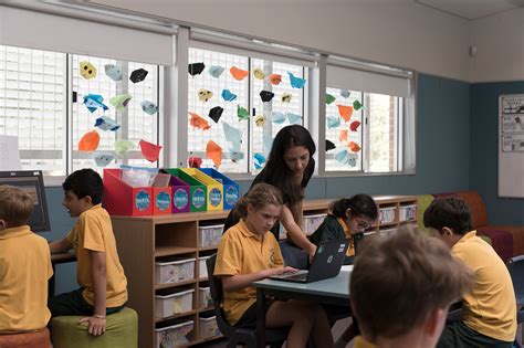 小学教育（自考本科）