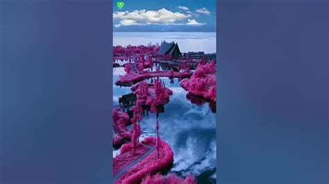 影视前期拍摄