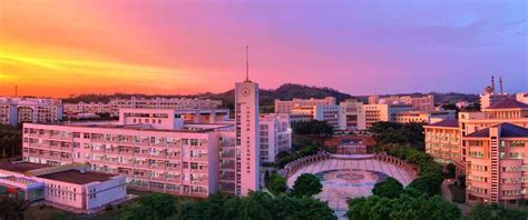 广东开放大学-本科