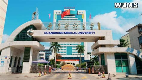广东开放大学高起专培训