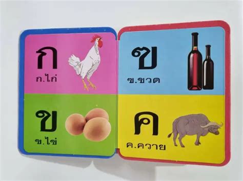 泰语兴趣爱好班