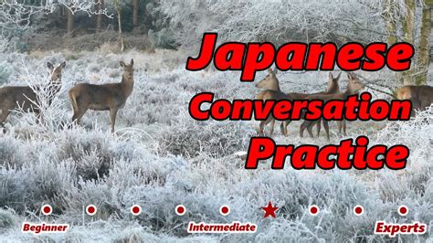 外交日语听力课程