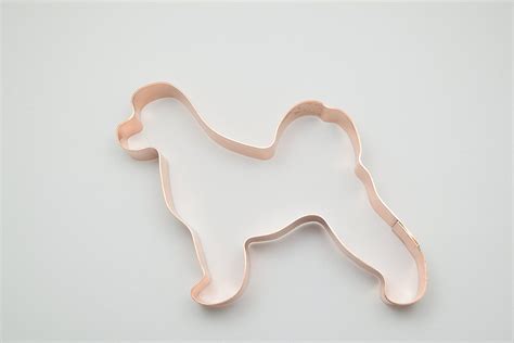 葡萄牙语N2