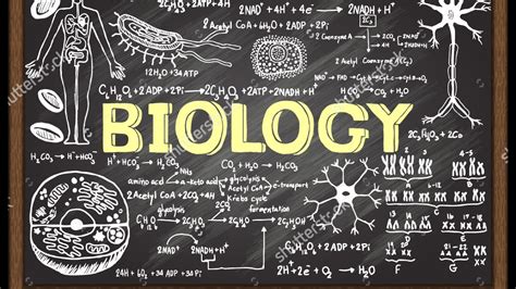 Biology（生物）