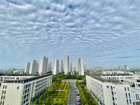 安徽中医药大学成人教育招生简章
