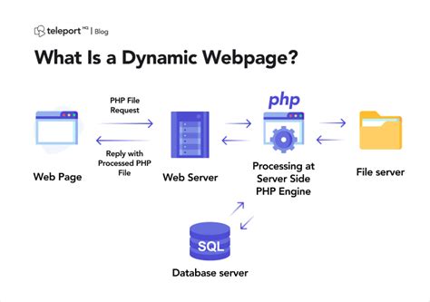 PHP动态网站开发班