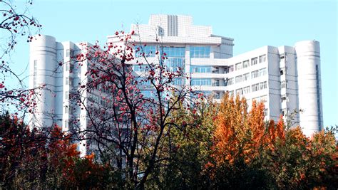 北京理工大学（人力资源管理本科）