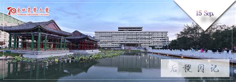 东北农业大学
