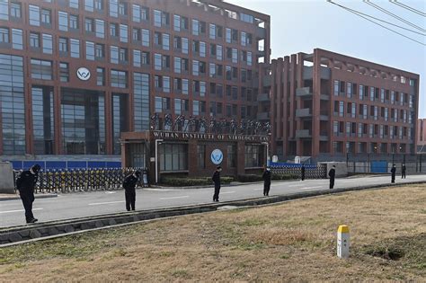 武汉生物工程学院程序设计基础知识综合串讲