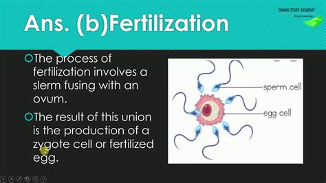 高二生物一对一
