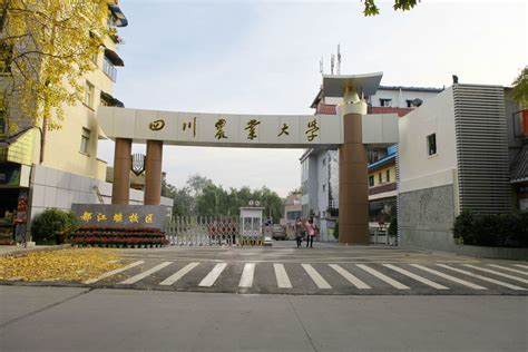 直播課四川農(nóng)業(yè)大學(xué)一對一考研輔導(dǎo)班