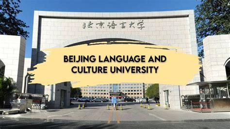 北京语言大学网络教育学院