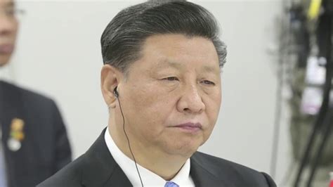 武汉电工证查询