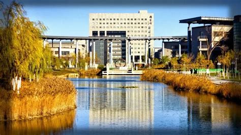 天津大学2019年网络远程教育招生简章