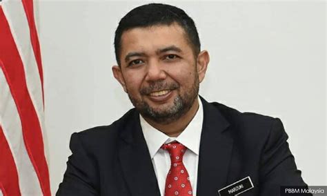 剑桥国际少儿4级