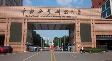中南大学网络教育