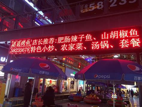诸葛烤鱼