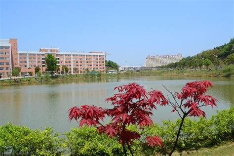中南林业大学函授专升本招生简章