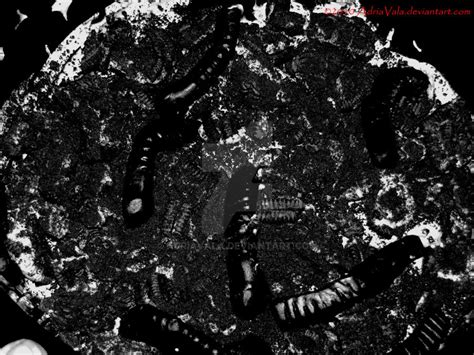 土渣餅培訓(xùn)