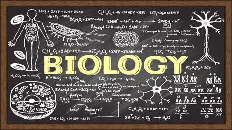 高一生物小班輔導課程