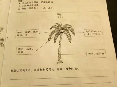 小学四年级语文辅导(上门家教)