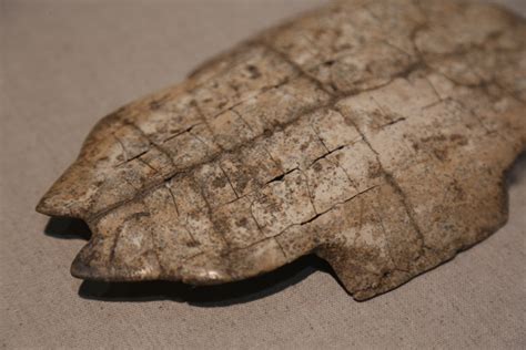 西安甲骨文詳述學(xué)C  需要注意的細節(jié)