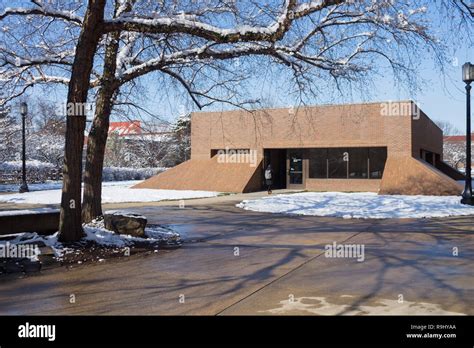 直播課美國本科碩士留學(xué)