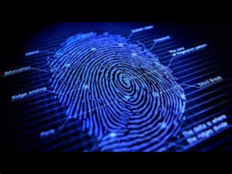 上元金手指系列取證班