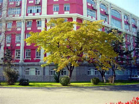 长春大学 高起本