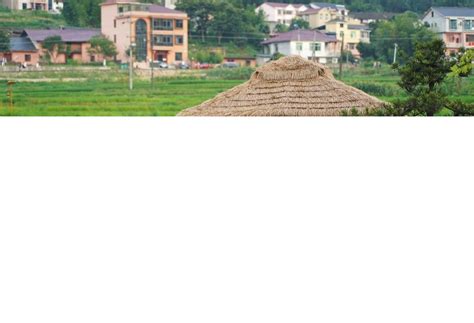 中原香包子
