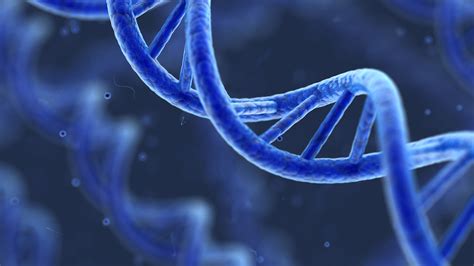 理化生实验课课程