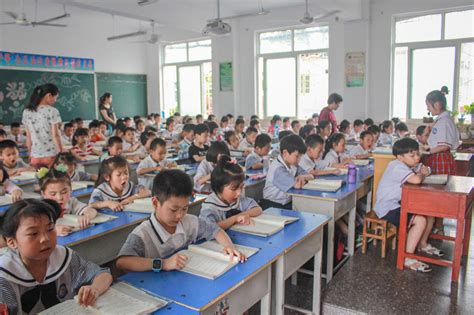 小学语文同步班