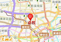 总校
