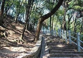 体育达标特训