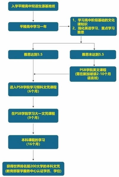 项目流程