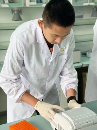 新东方国际双语学校
