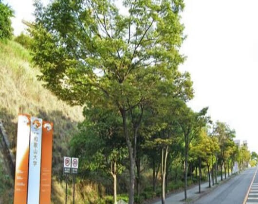 和歌山大学