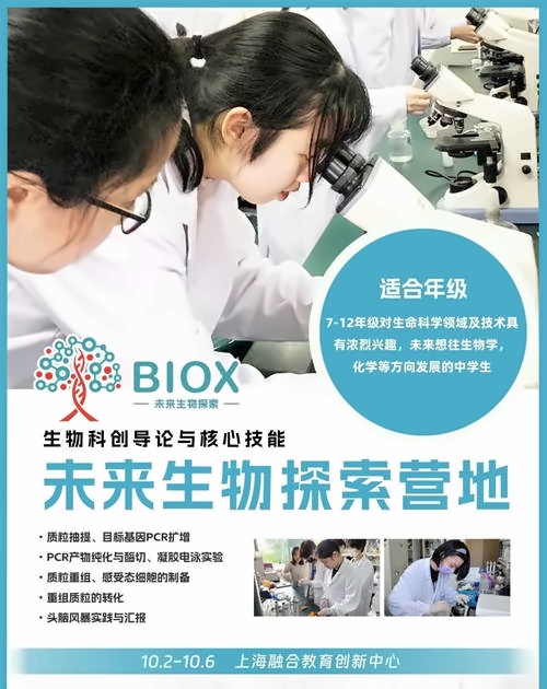 北外同文外国语学校社会实践活动3