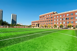 天津美达菲国际学校操场