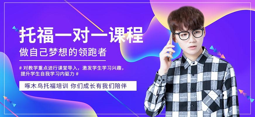 托福一对一培训班