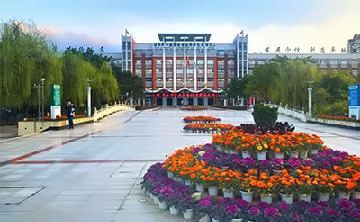 成都绵阳东辰国际学校AP课程（美国方向）
