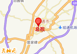 总校