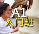 同理心意大利语A1课程
