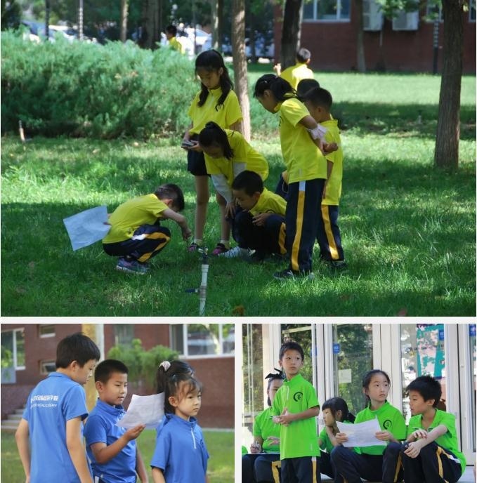 新东方国际双语学校